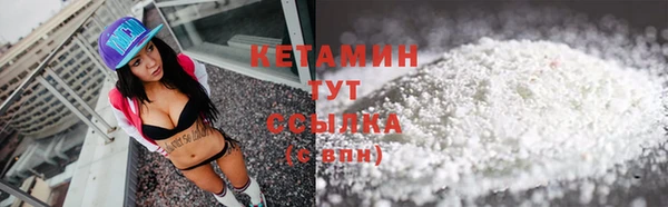 шишки Армянск