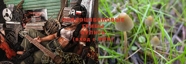 крисы Балахна