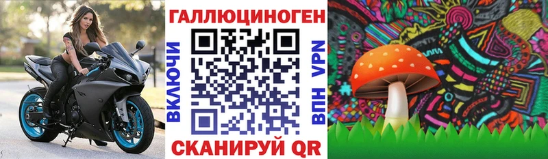 дарк нет состав  Ленск  Галлюциногенные грибы прущие грибы 